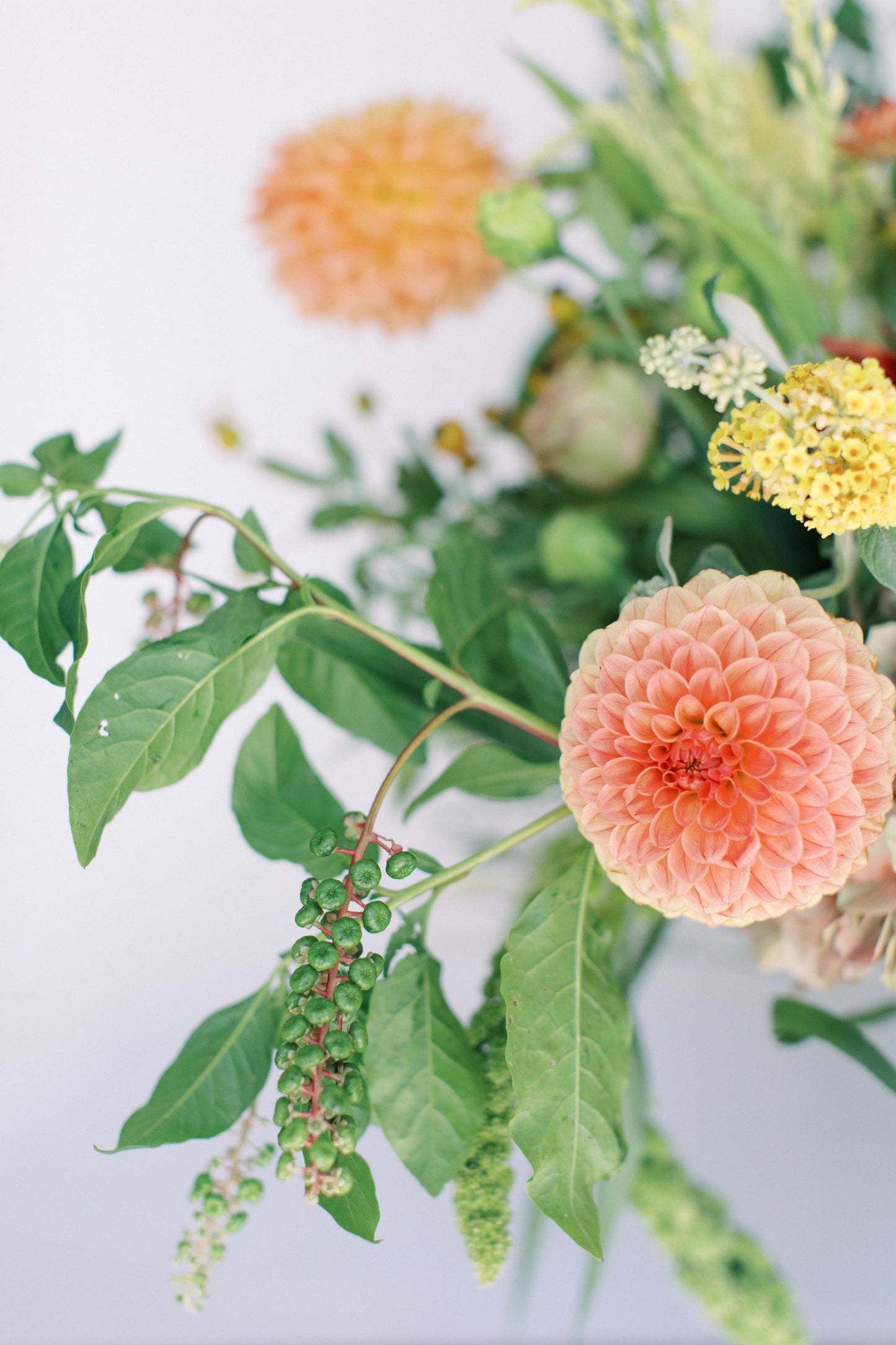 closeup of dahlias from local bouquet