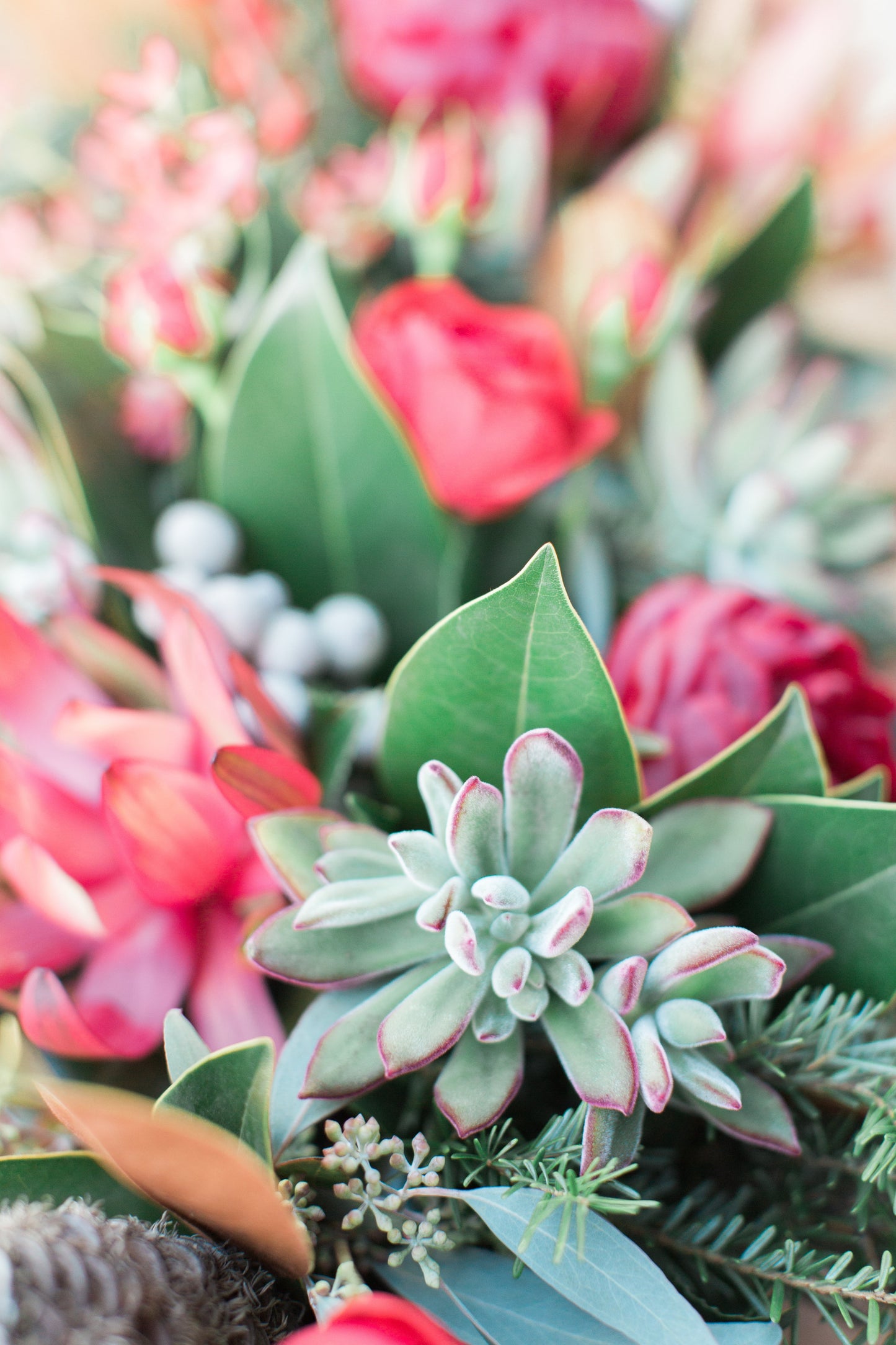 succulent & peony winter centerpiece by seascape flowers