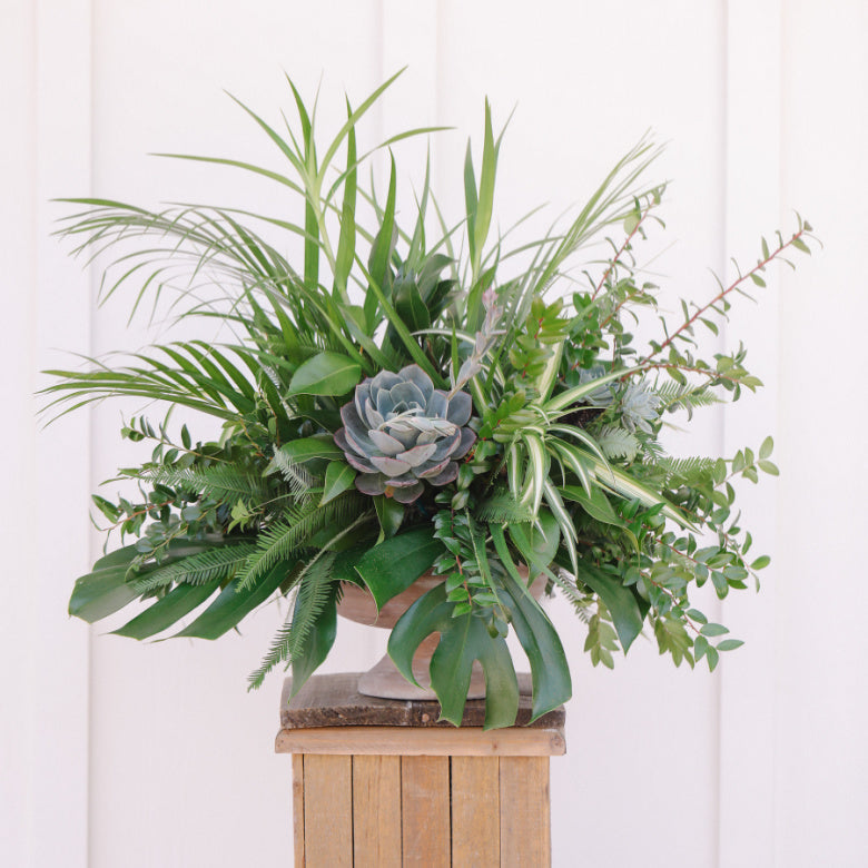 succulent sympathy arrangement Garden of Peace