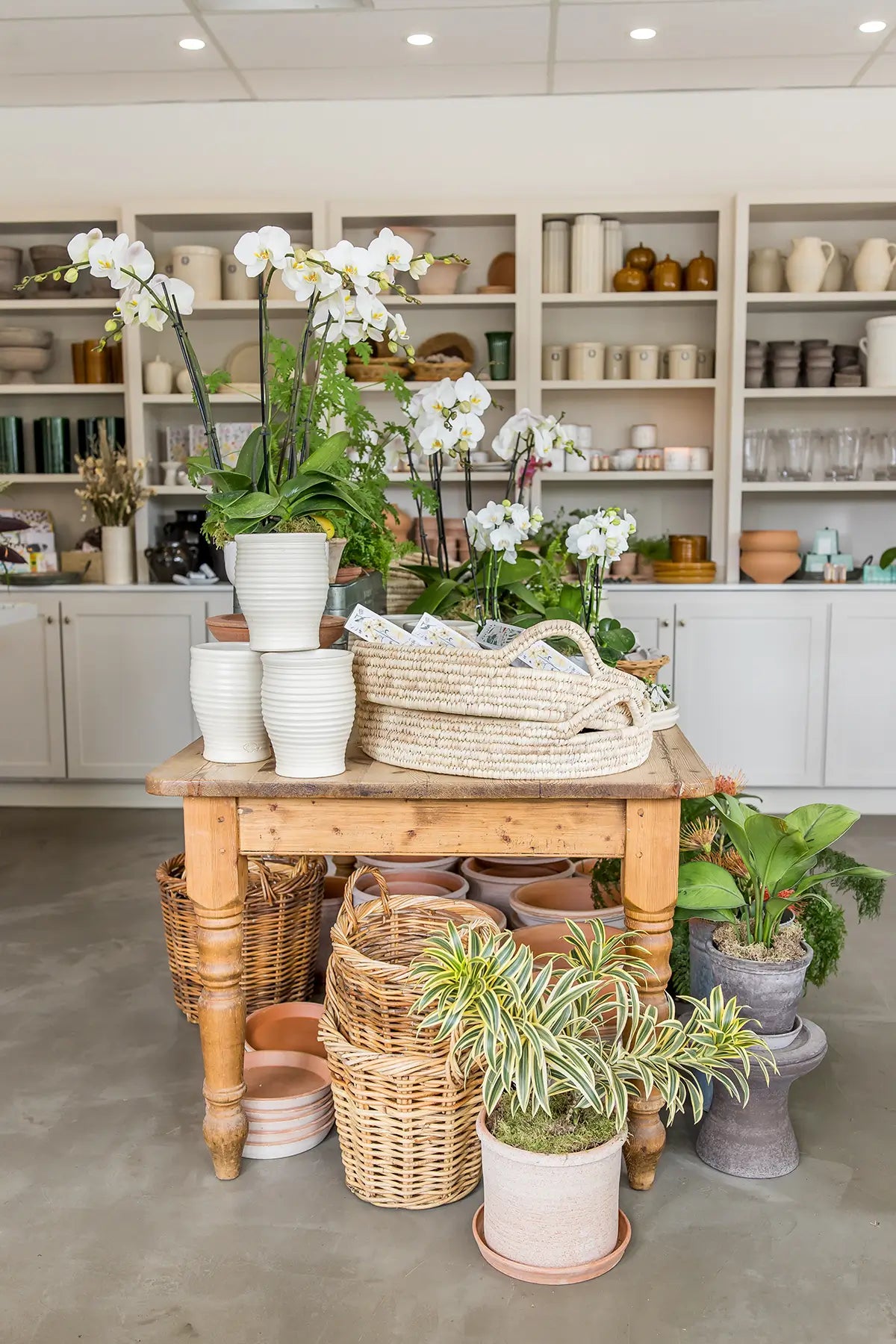 Image of pots, baskets and home decor on shelves inside Seascape Flowers Aptos flower shop