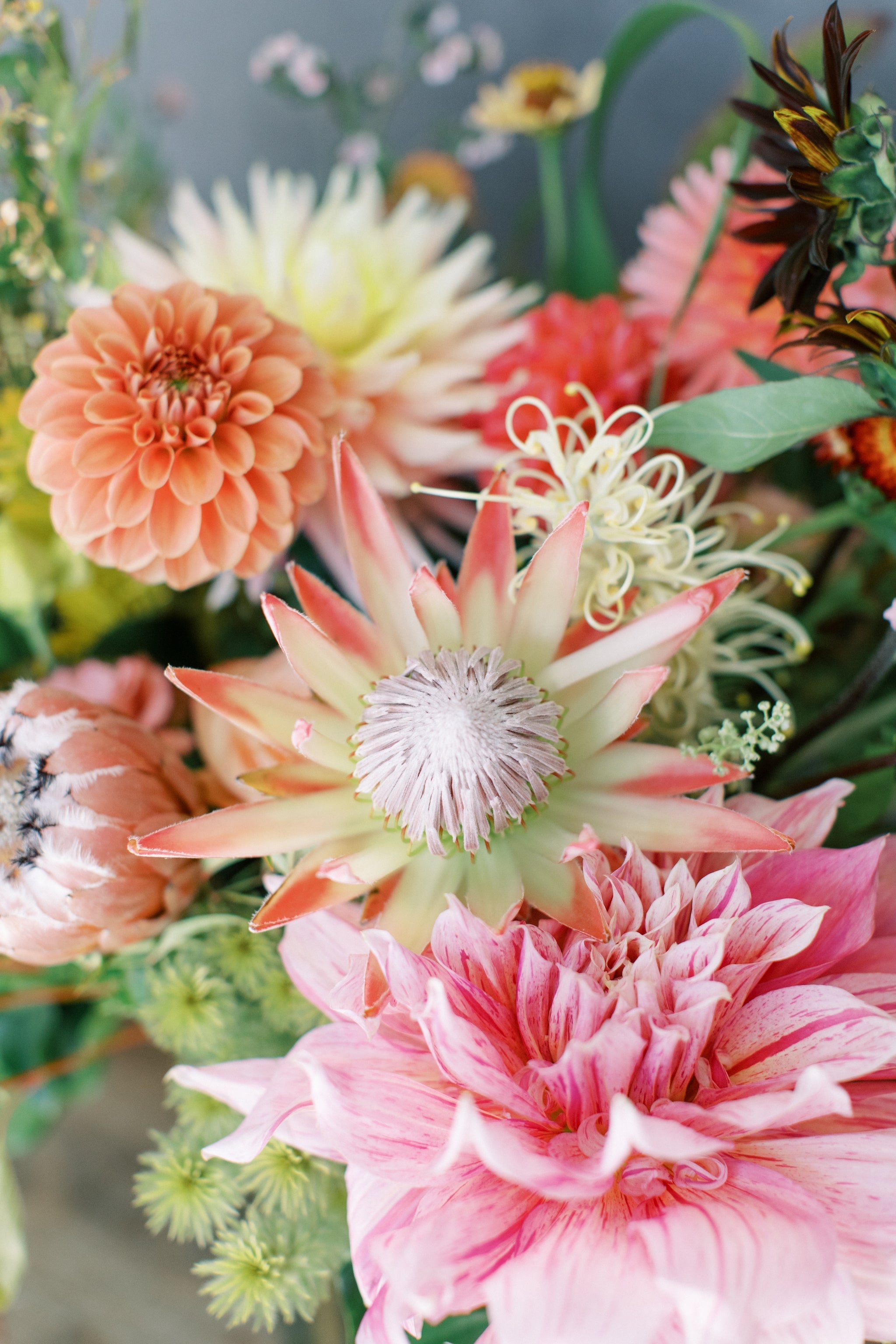 Santa Cruz Seascape Flowers